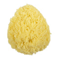 Collection By London Drugs Sea Sponge Sin marca