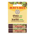 Hidratante Facial Shea + Aloe Humectante Bálsamo 4.25 g Burt's Bees