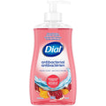 Jabón de Manos Antibacterial Spring Water Dial