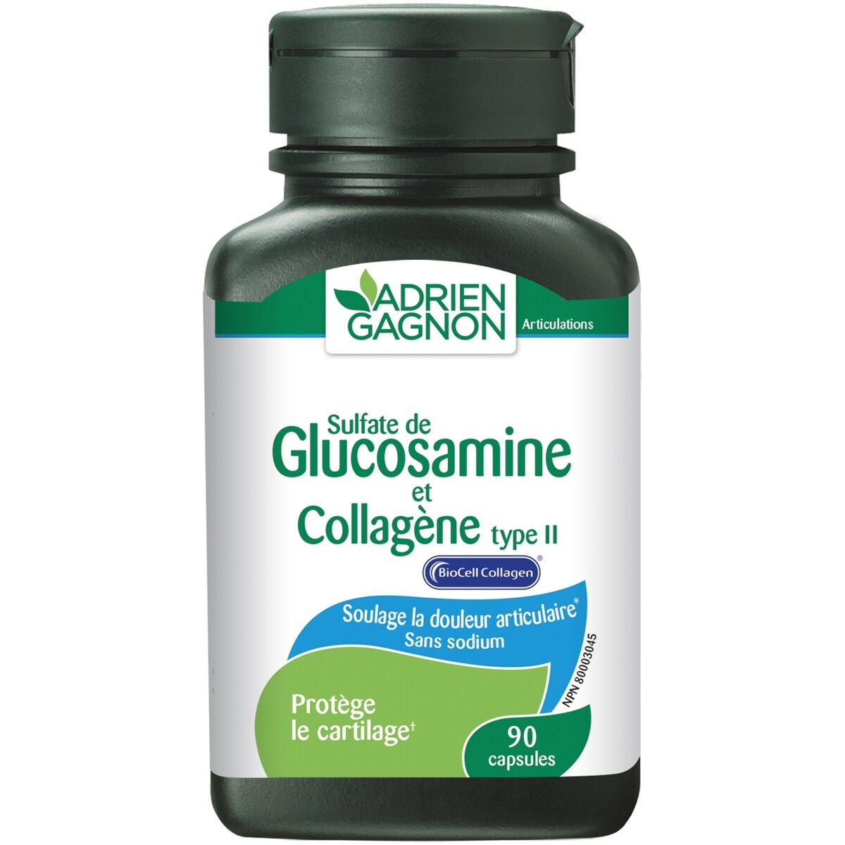 Colágeno y Glucosamina Tipo II Adrien Gagnon
