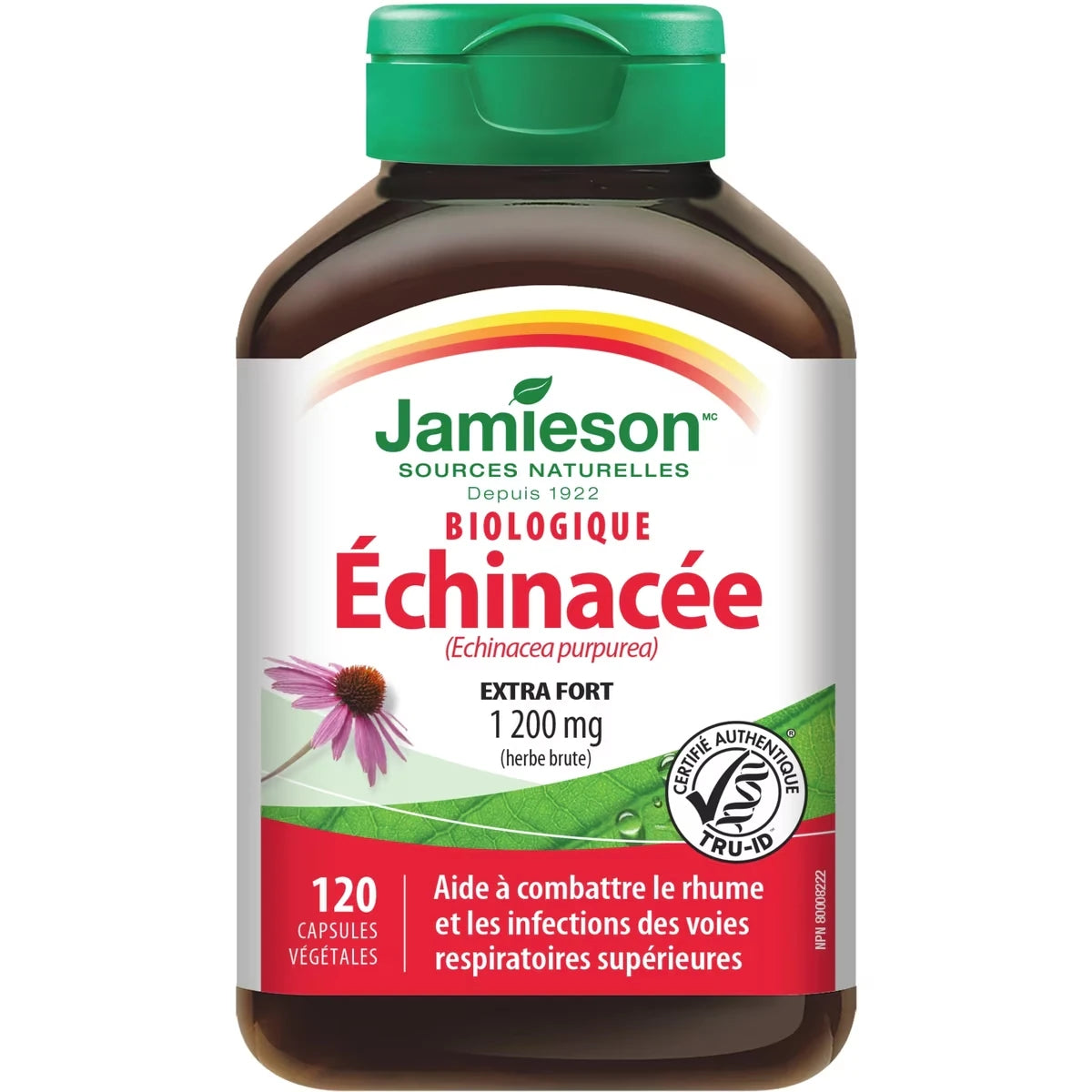 Equinácea Orgánica Alta Potencia 1.200 mg Jamieson ProVitamina