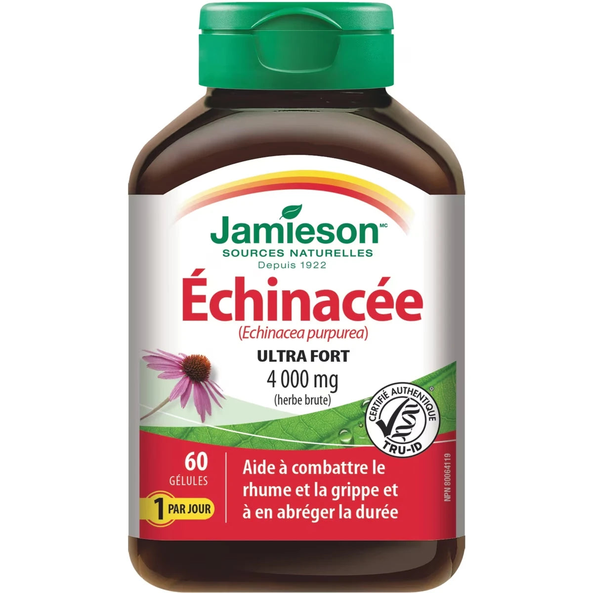 Equinácea 4.000 mg Jamieson ProVitamina