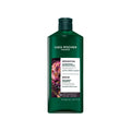 Shampoo Reconstituyente Yves Rocher