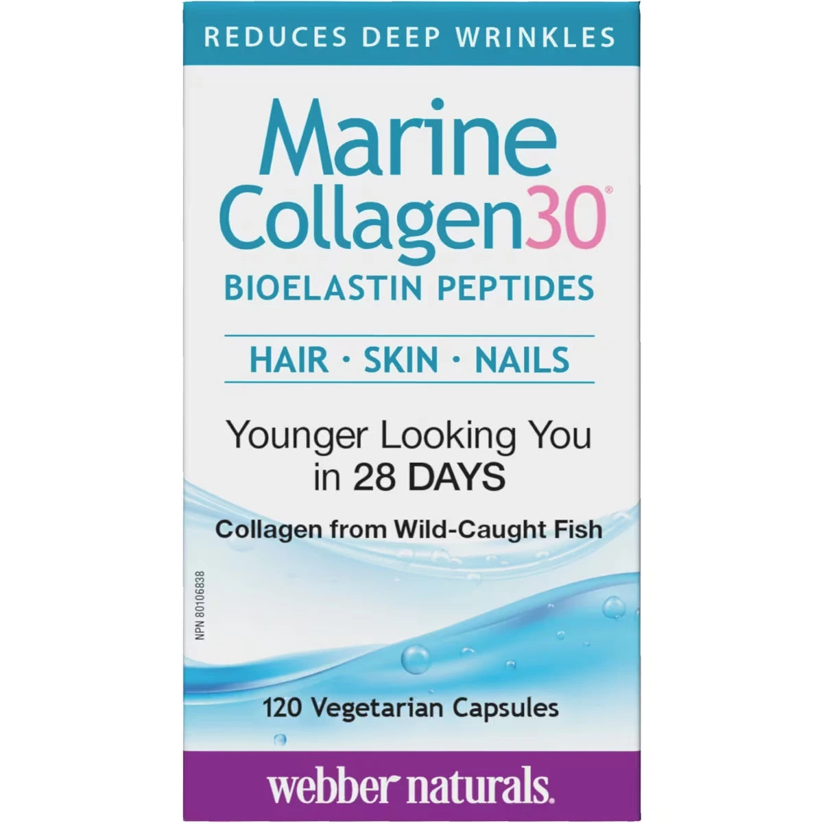 Colágeno Marino Collagen30 con Péptidos de Bioelastina Webber