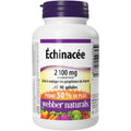 Suplemento de Equinácea 2100 mg Webber